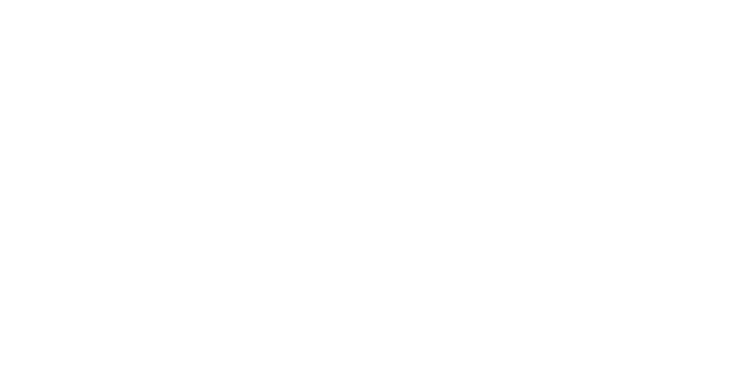 PalindromeTech_logoKO_tagline1_hi